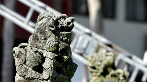 校園景色.jpg