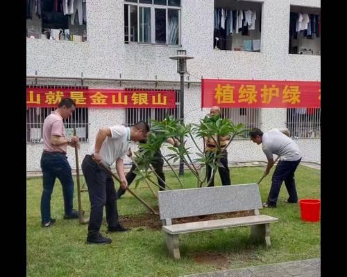 我校開展義務植樹志愿服務活動