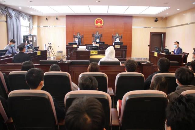 我校學生走進瓊海市人民法院旁聽庭審，實現普法教育“零距離”